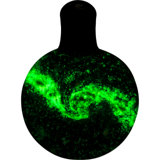 Luminescence
