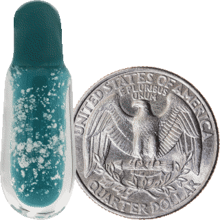 Size Comparison