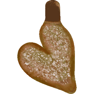 Multicolour Caramel