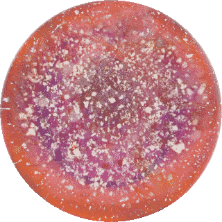 Multicolour Amber Purple