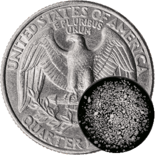 Size Comparison