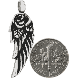 Size Comparison
