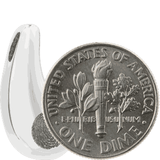 Size Comparison