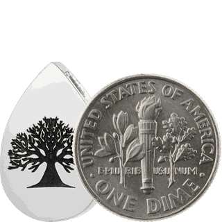 Size Comparison