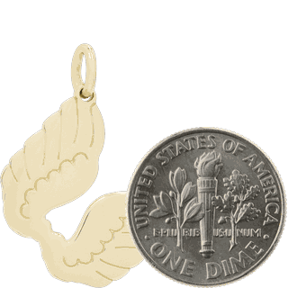 Size Comparison