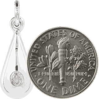 Size Comparison