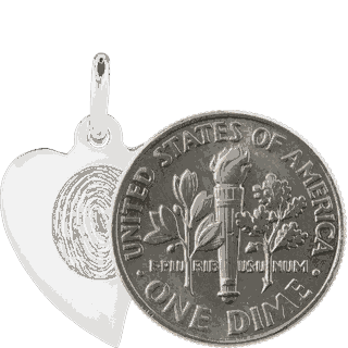 Size Comparison