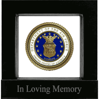 Front image of United States Air Force Medallion