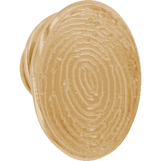 Front image of Yellow Gold Lapel Pin