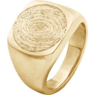 Front image of Yellow Gold Large Signet Ring