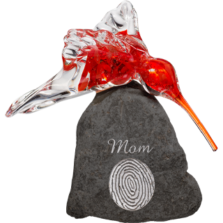 Glass Hummingbird