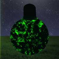 Luminescence during the night